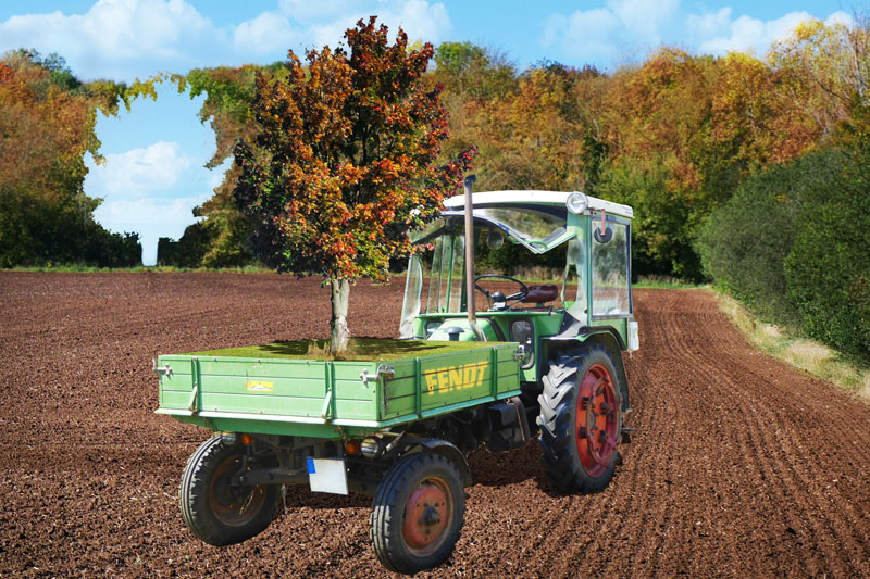 Baum auf Traktor