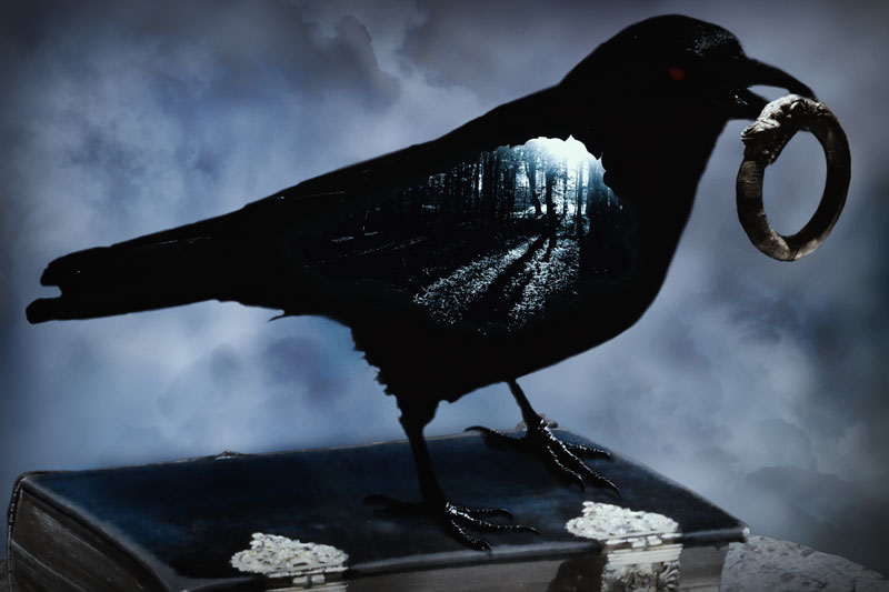 Die Krähe